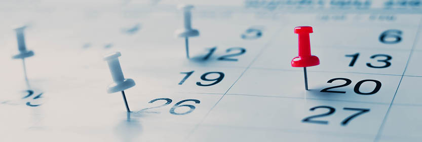 A close-up of a calendar page with several push pins, including a prominent red one on the 20th.